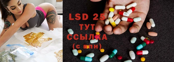 ПСИЛОЦИБИНОВЫЕ ГРИБЫ Зеленодольск